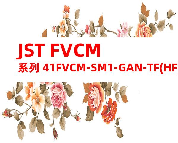 JST FVCM系列 41FVCM-SM1-GAN-TF(HF)产品图纸